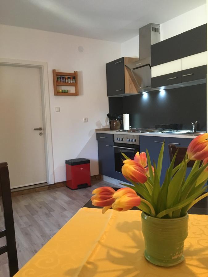 Ferienwohnung Richtermuehle Saupsdorf Eksteriør bilde